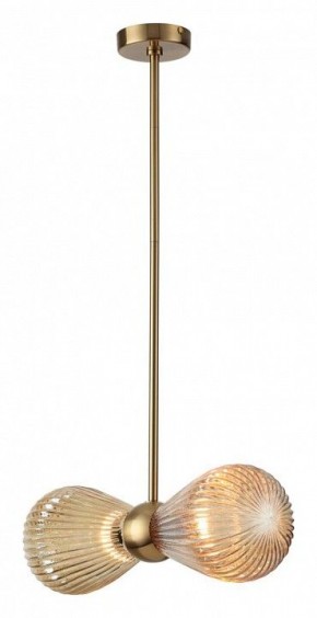 Подвесной светильник Odeon Light Elica 5402/2 в Тюмени - tumen.mebel24.online | фото 2