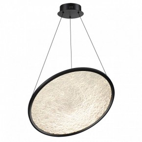 Подвесной светильник Odeon Light Fuso 7046/41L в Тюмени - tumen.mebel24.online | фото 2