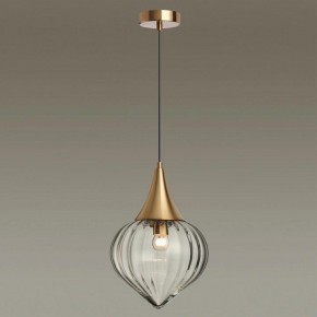 Подвесной светильник Odeon Light Kesta 4950/1 в Тюмени - tumen.mebel24.online | фото 2