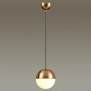 Подвесной светильник Odeon Light Pinga 4960/1 в Тюмени - tumen.mebel24.online | фото 2