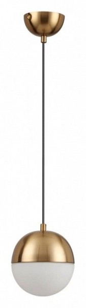 Подвесной светильник Odeon Light Pinga 4960/1 в Тюмени - tumen.mebel24.online | фото 3
