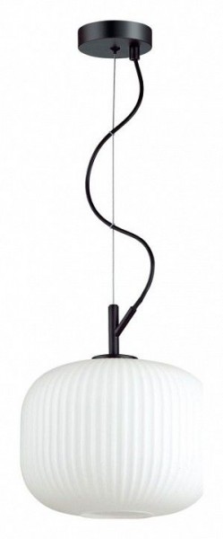 Подвесной светильник Odeon Light Roofi 4753/1 в Тюмени - tumen.mebel24.online | фото 2