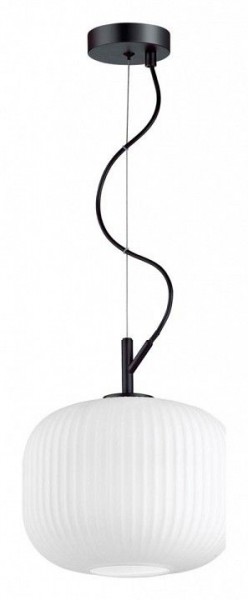 Подвесной светильник Odeon Light Roofi 4753/1 в Тюмени - tumen.mebel24.online | фото 3
