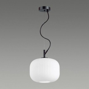 Подвесной светильник Odeon Light Roofi 4753/1 в Тюмени - tumen.mebel24.online | фото 4