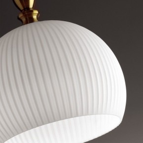 Подвесной светильник Odeon Light Runga 4766/1 в Тюмени - tumen.mebel24.online | фото 8