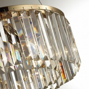 Подвесной светильник Odeon Light Vassa 4987/6 в Тюмени - tumen.mebel24.online | фото 6