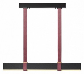 Подвесной светильник Odeon Light Vincent 6629/25L в Тюмени - tumen.mebel24.online | фото 2