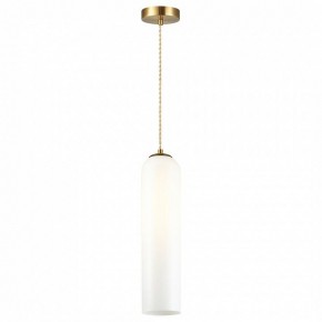 Подвесной светильник Odeon Light Vosti 4642/1 в Тюмени - tumen.mebel24.online | фото 2