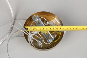 Подвесной светильник Omnilux Cesana OML-67103-08 в Тюмени - tumen.mebel24.online | фото 9