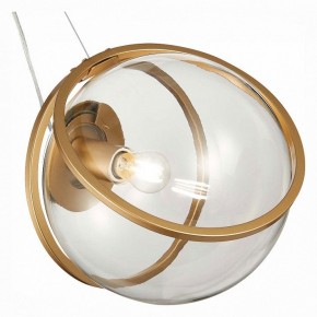 Подвесной светильник ST-Luce Acerra SL1181.313.01 в Тюмени - tumen.mebel24.online | фото 2