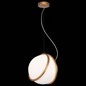 Подвесной светильник ST-Luce Acerra SL1181.353.01 в Тюмени - tumen.mebel24.online | фото 4