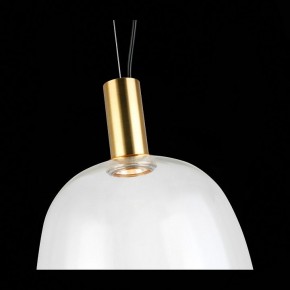 Подвесной светильник ST-Luce Allenore SL1582.313.01 в Тюмени - tumen.mebel24.online | фото 9