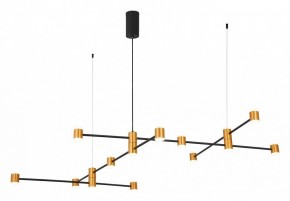 Подвесной светильник ST-Luce Anichita SL1596.423.22 в Тюмени - tumen.mebel24.online | фото 3