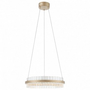 Подвесной светильник ST-Luce Cherio SL383.203.01 в Тюмени - tumen.mebel24.online | фото 3
