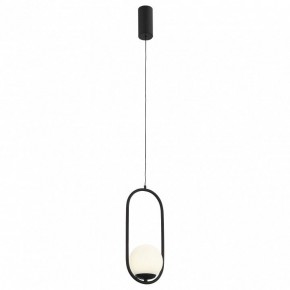 Подвесной светильник ST-Luce Donolo SL395.403.01 в Тюмени - tumen.mebel24.online | фото 2