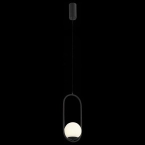 Подвесной светильник ST-Luce Donolo SL395.403.01 в Тюмени - tumen.mebel24.online | фото 3