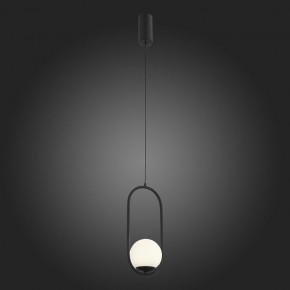 Подвесной светильник ST-Luce Donolo SL395.403.01 в Тюмени - tumen.mebel24.online | фото 5