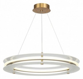 Подвесной светильник ST-Luce FAGY SL6245.203.01 в Тюмени - tumen.mebel24.online | фото 2