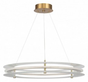 Подвесной светильник ST-Luce FAGY SL6245.203.01 в Тюмени - tumen.mebel24.online | фото 3