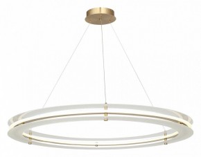 Подвесной светильник ST-Luce FAGY SL6245.213.01 в Тюмени - tumen.mebel24.online | фото 4
