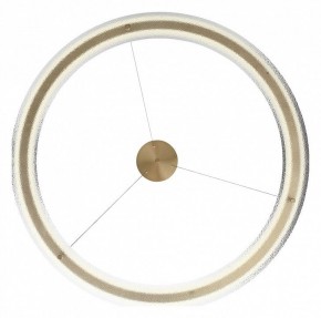 Подвесной светильник ST-Luce FAGY SL6245.213.01 в Тюмени - tumen.mebel24.online | фото 5