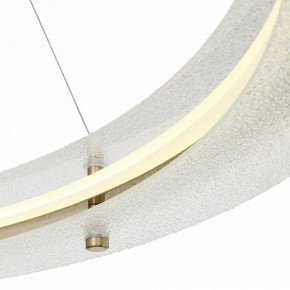 Подвесной светильник ST-Luce FAGY SL6245.213.01 в Тюмени - tumen.mebel24.online | фото 6