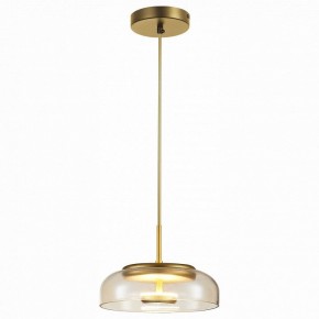Подвесной светильник ST-Luce Lacio SL6002.203.01 в Тюмени - tumen.mebel24.online | фото