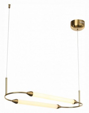 Подвесной светильник ST-Luce Olbia SL6004.313.02 в Тюмени - tumen.mebel24.online | фото 4