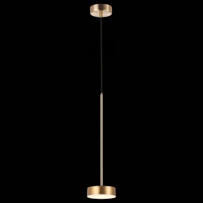 Подвесной светильник ST-Luce Pances SL6000.303.01 в Тюмени - tumen.mebel24.online | фото 4
