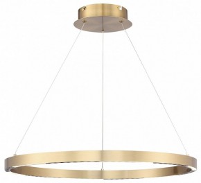 Подвесной светильник ST-Luce PARILLA SL6238.333.01 в Тюмени - tumen.mebel24.online | фото 2