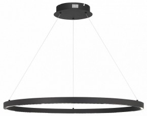 Подвесной светильник ST-Luce PARILLA SL6238.443.01 в Тюмени - tumen.mebel24.online | фото 2