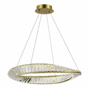 Подвесной светильник ST-Luce Ritorto SL6204.301.01 в Тюмени - tumen.mebel24.online | фото 2