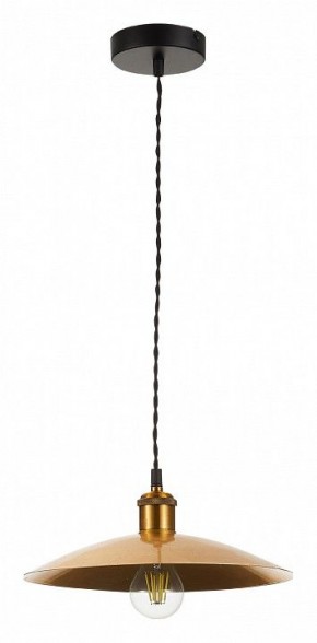 Подвесной светильник ST-Luce Romo SL1017.203.01 в Тюмени - tumen.mebel24.online | фото 2