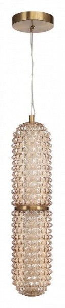 Подвесной светильник ST-Luce SAGUARO SL6144.303.01 в Тюмени - tumen.mebel24.online | фото 3