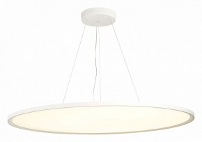 Подвесной светильник ST-Luce ST602 ST602.543.120 в Тюмени - tumen.mebel24.online | фото 3