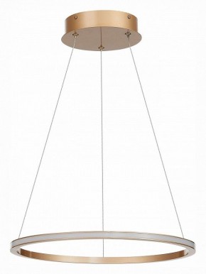 Подвесной светильник ST-Luce ST604 OUT ST604.243.22 в Тюмени - tumen.mebel24.online | фото 2