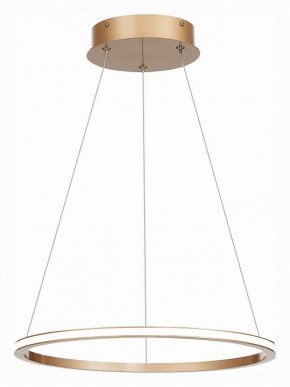Подвесной светильник ST-Luce ST604 OUT ST604.243.22 в Тюмени - tumen.mebel24.online | фото 3