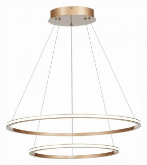 Подвесной светильник ST-Luce ST604 OUT ST604.243.56 в Тюмени - tumen.mebel24.online | фото 3