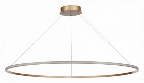Подвесной светильник ST-Luce ST604 OUT ST604.243.57 в Тюмени - tumen.mebel24.online | фото 2