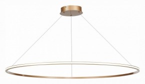 Подвесной светильник ST-Luce ST604 OUT ST604.243.57 в Тюмени - tumen.mebel24.online | фото 3