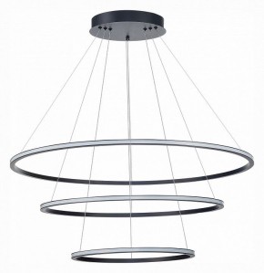 Подвесной светильник ST-Luce ST604 OUT ST604.443.114 в Тюмени - tumen.mebel24.online | фото 2
