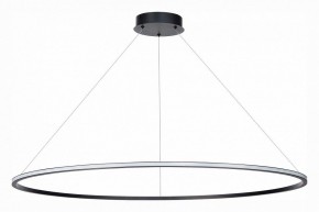 Подвесной светильник ST-Luce ST604 OUT ST604.443.46 в Тюмени - tumen.mebel24.online | фото 2