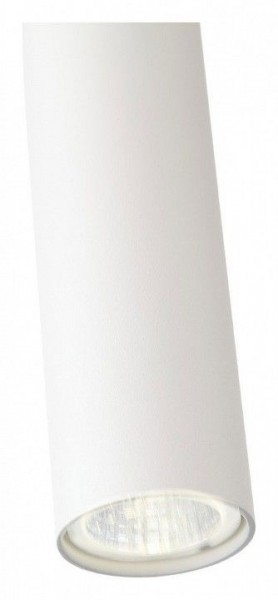 Подвесной светильник ST-Luce Tuore SL1592.503.01 в Тюмени - tumen.mebel24.online | фото 11
