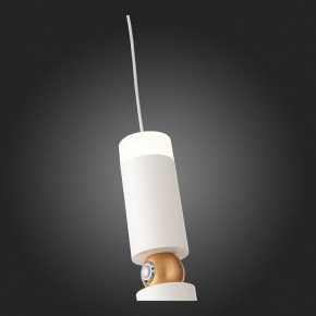 Подвесной светильник ST-Luce Tuore SL1592.503.01 в Тюмени - tumen.mebel24.online | фото 5