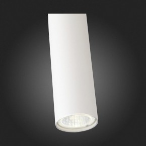 Подвесной светильник ST-Luce Tuore SL1592.503.01 в Тюмени - tumen.mebel24.online | фото 7