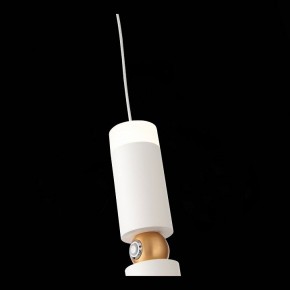 Подвесной светильник ST-Luce Tuore SL1592.503.01 в Тюмени - tumen.mebel24.online | фото 9