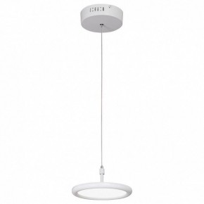 Подвесной светильник Vitaluce V4604 V4604-0/1S в Тюмени - tumen.mebel24.online | фото 2