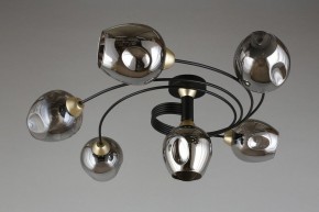 Потолочная люстра Aployt Flor APL.611.17.06 в Тюмени - tumen.mebel24.online | фото 1
