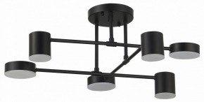 Потолочная люстра EVOLUCE Nobel SLE201042-06 в Тюмени - tumen.mebel24.online | фото 11