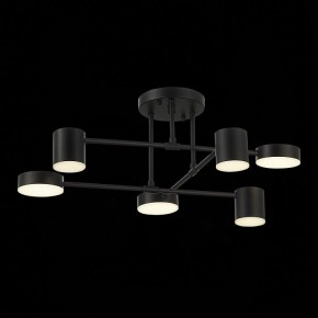 Потолочная люстра EVOLUCE Nobel SLE201042-06 в Тюмени - tumen.mebel24.online | фото 13